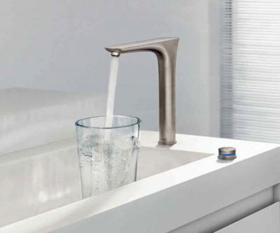 Смеситель для кухни Hansgrohe Pura Vida 15805800