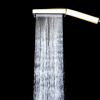 Душевая лейка Frap F025