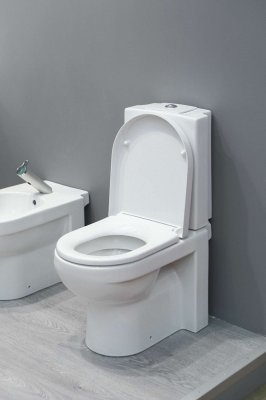 Унитаз напольный Gustavsberg ARTic 4310