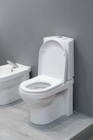 Унитаз напольный Gustavsberg ARTic 4310